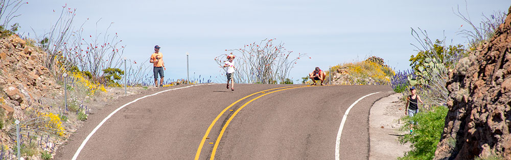 Tourists frolic on the River Road.