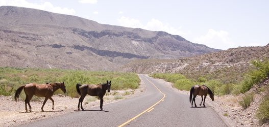 River Road traffic.